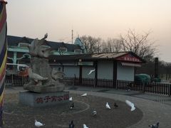 -鸽子窝公园