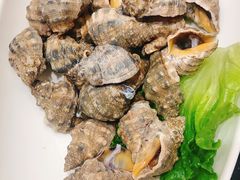 -高佳庄·舟山海鲜(海景旗舰店)