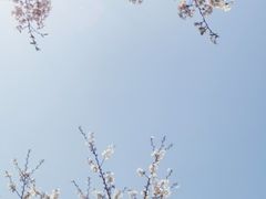 -白塘生态植物园