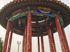 -府君山公园