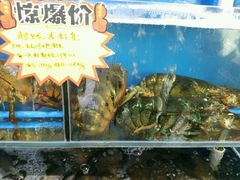 -蚝专家(北滘店)