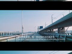 -海堤纪念公园