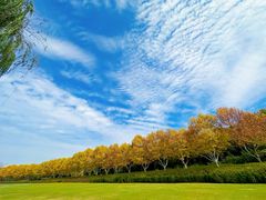 -宜兴龙背山森林公园