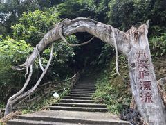 -龙岩森林水乡景区