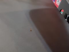 -永和大王(龙德广场店)