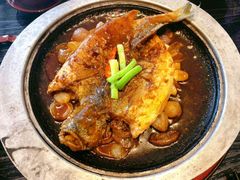石锅茶油焗黄花鱼-五缘湾凯悦酒店·悦饗中餐厅