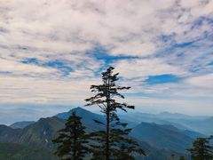 -瓦屋山景区