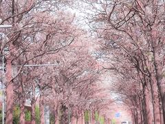 -亦庄创意生活广场