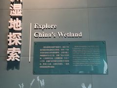 -中国湿地博物馆
