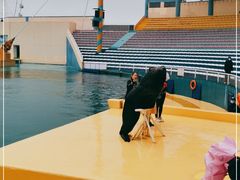 -秦皇岛乐岛海洋王国