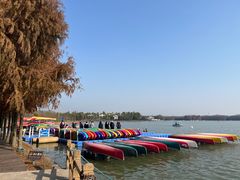 -上海海湾国家森林公园