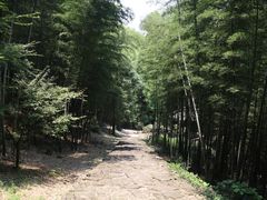 -仙霞关景区