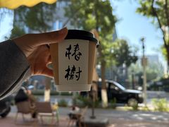 -椿树咖啡