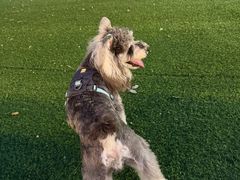 -达爱动物医院·犬猫分区·CT·复杂眼科(远洋山水分院)
