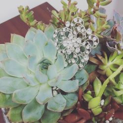 -TADASHI SHOJI(中国旗舰店)