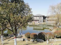 -鹦鹉寺公园