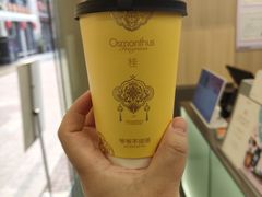 -爷爷不泡茶 NOYEYENOTEA(长沙五江天街店)