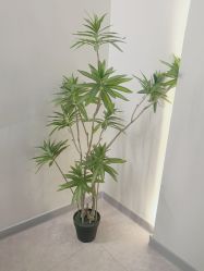 -VE专注问题肌·赛诺龙&科学美肤中心