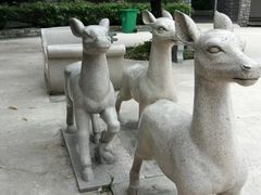 -福州动物园