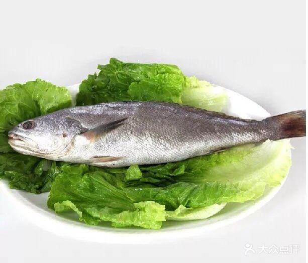 米鱼 (8) 上一张 1 / 1下一张 15-05-25 1