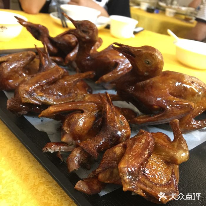 鸽王世家(东华东路店)图片
