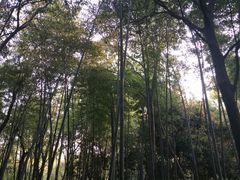 -玉女潭景区