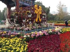 -迎泽公园