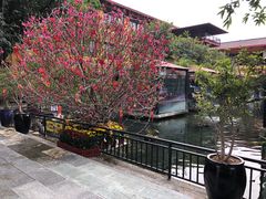 -鹅公村·国家非遗传承(荔湾店)