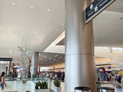 -盐湖城国际机场