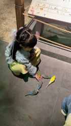 -酷嗒动物文化乐园(cutezoo西溪乐天城店)