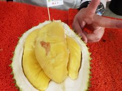 -都念榴莲·城市榴莲