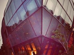 -上海滴水湖皇冠假日酒店