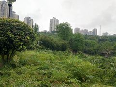 -龙头寺公园