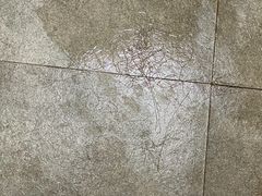 -二十一世纪饭店-游泳馆