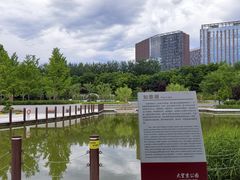 -大望京公园