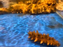 -上和臻品中国菜(花园街店)