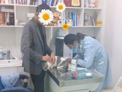 -汪喵宠物医院·骨科心脏影像·犬猫急重症ICU诊疗中心(成华分院)