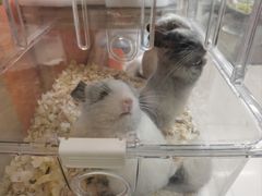 -三旗百汇商品城