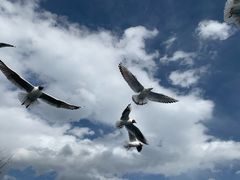 -丽江泸沽湖景区