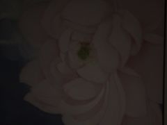 -华夏良子·足道SPA艾灸(中关村旗舰店)