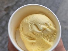 -iceason爱茜茜里·意大利健康冰淇淋(骑龙巷店)