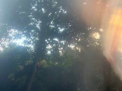 -腾冲洞山温泉村