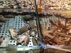 -领鲜活海鲜榴莲自助火锅(东门店)