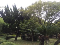 -汉拿树木园