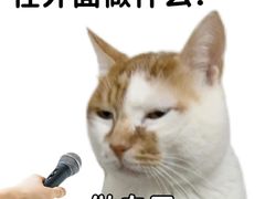 -谜盒子奇幻密室(南屏店)