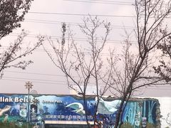-芜湖新华联大白鲸海洋公园