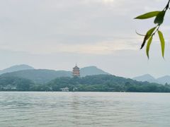 -柳莺湖上·湖景餐厅·江南菜(西湖店)