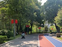 -桐乡植物园