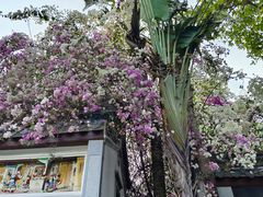 -深圳国际园林花卉博览园