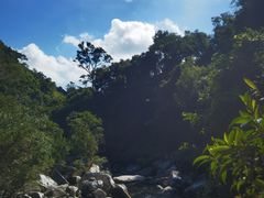 -海南热带雨林国家公园吊罗山景区